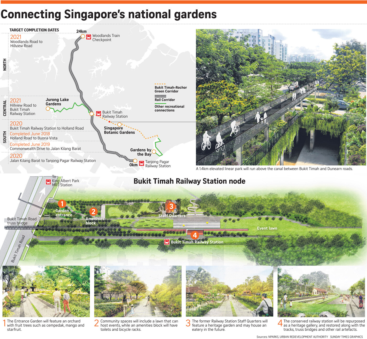 Bukit-Timah-Rochor-Green-Corridor-link-Jurong-Lake-Gardens-Singapore-Botanic-Gardens-Gardens-by-the-Bay-ST-photo.jpg
