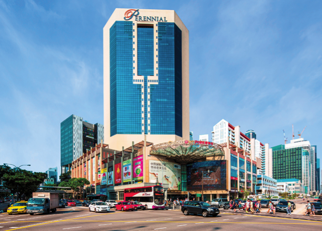 Capitol Perennial.png