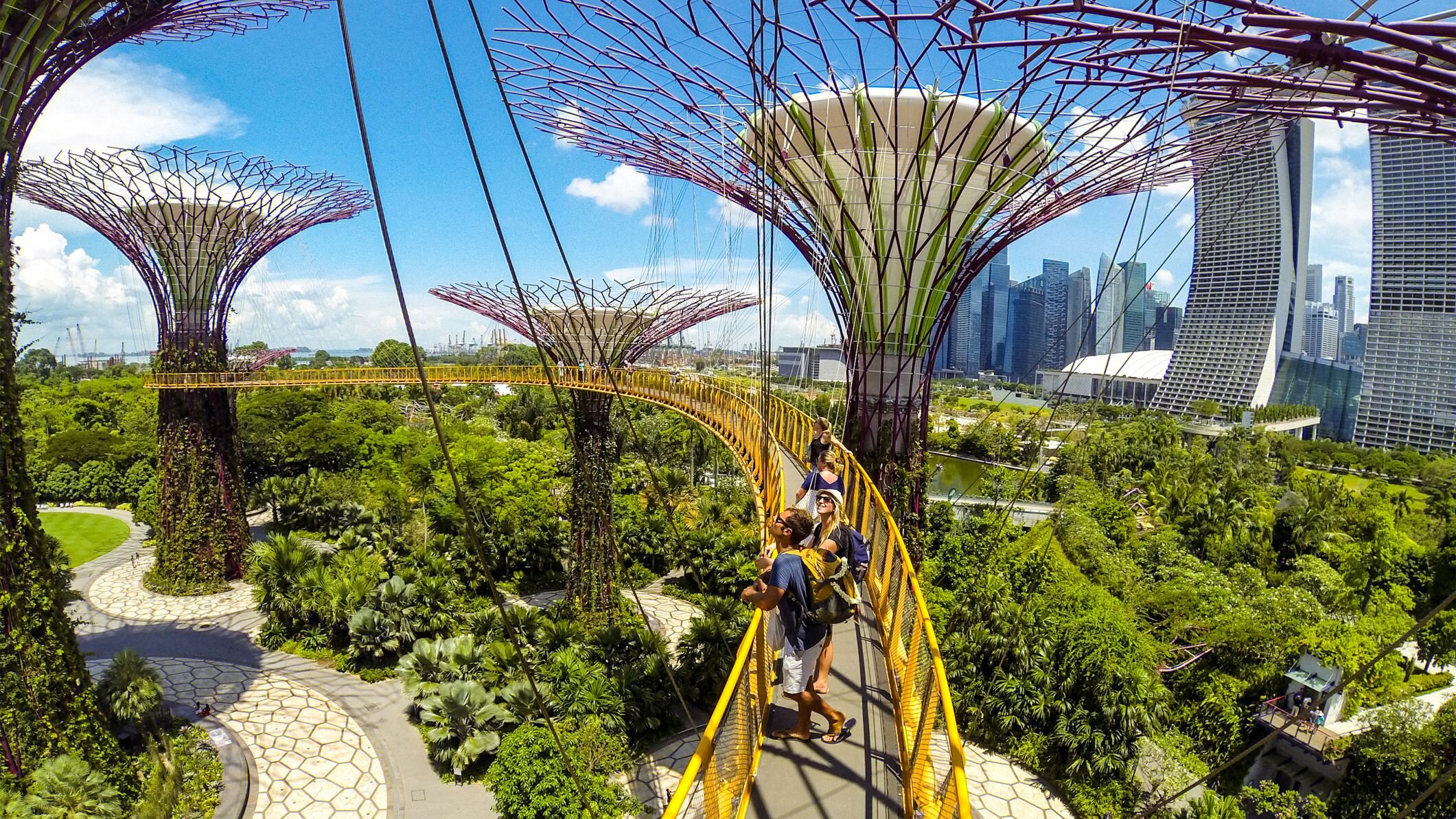 Gardens by the bay courtesy Tripsavvy.jpg