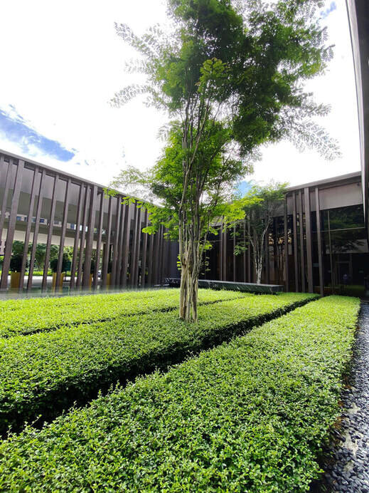 Landscaping Courtesy Tinderbox