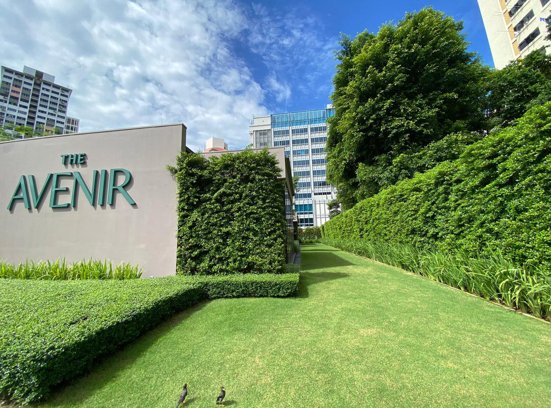 Landscaping Courtesy Tinderbox