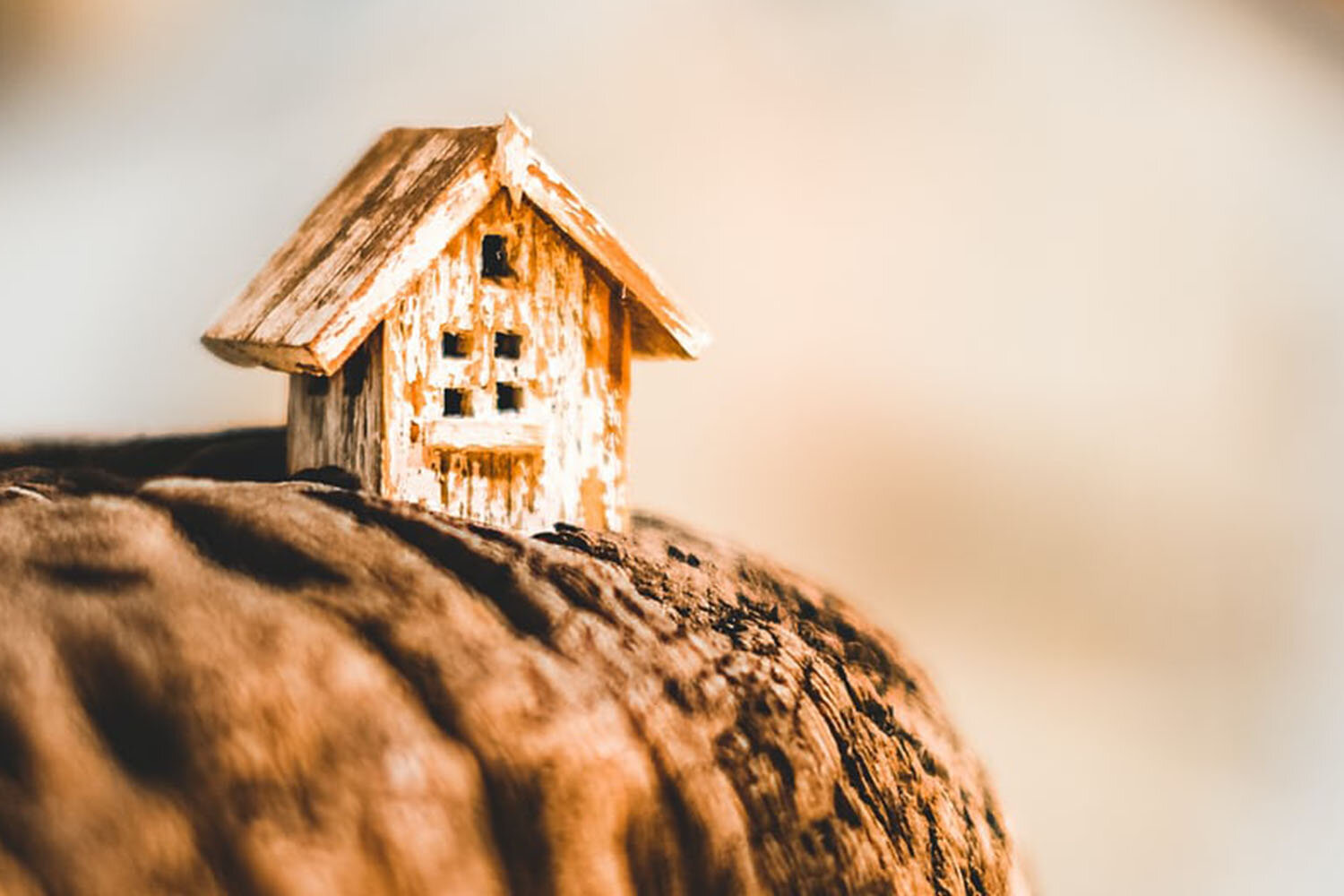 Rent house.jpg