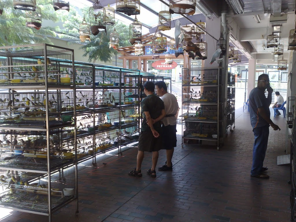 Serangoon North Bird Shop.png