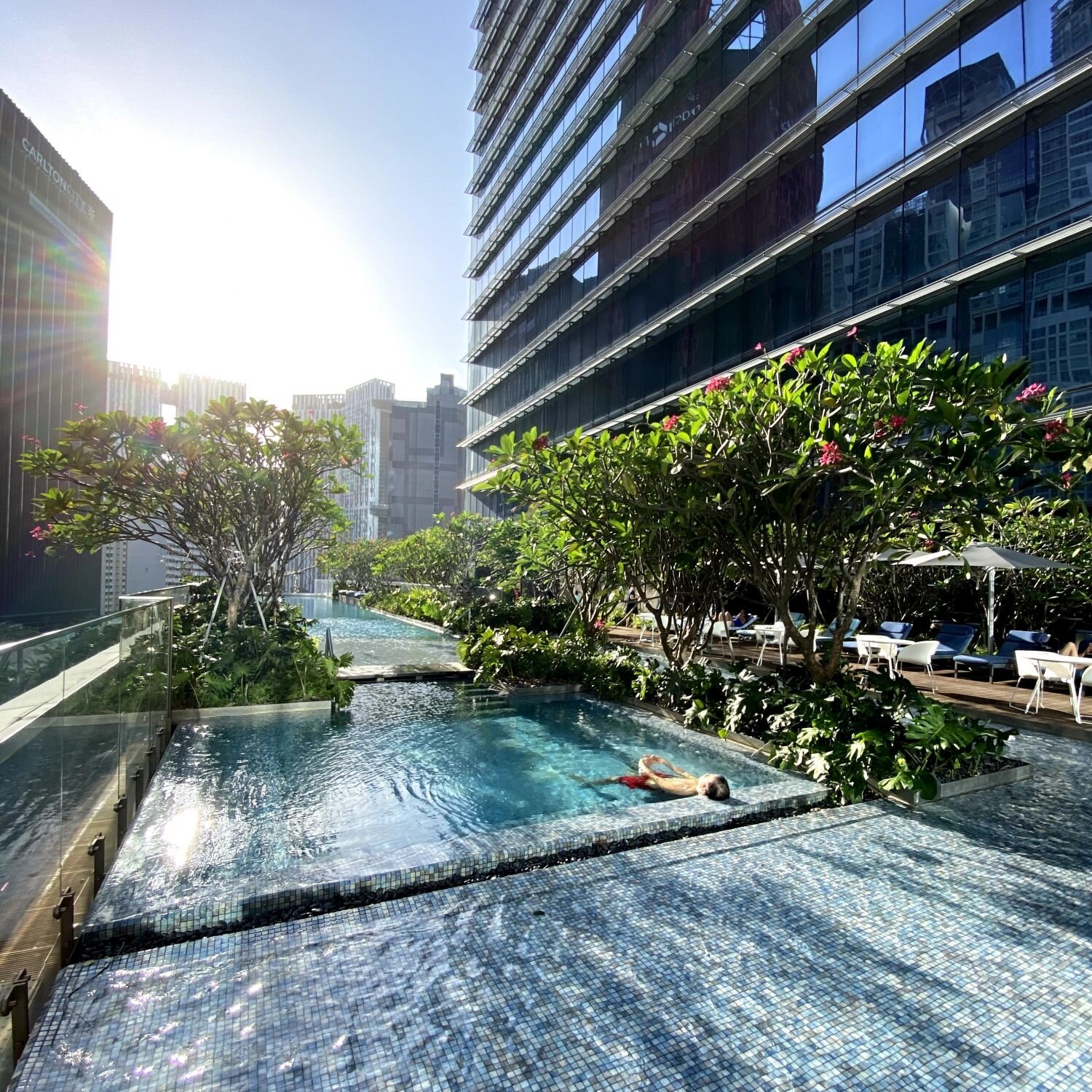Sofitel Singapore City Centre courtesy Secretlifeoffatbacks.jpg