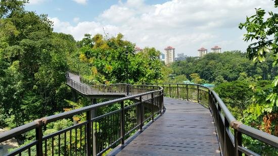 kent-ridge-park courtesy Tripadvisor.jpg