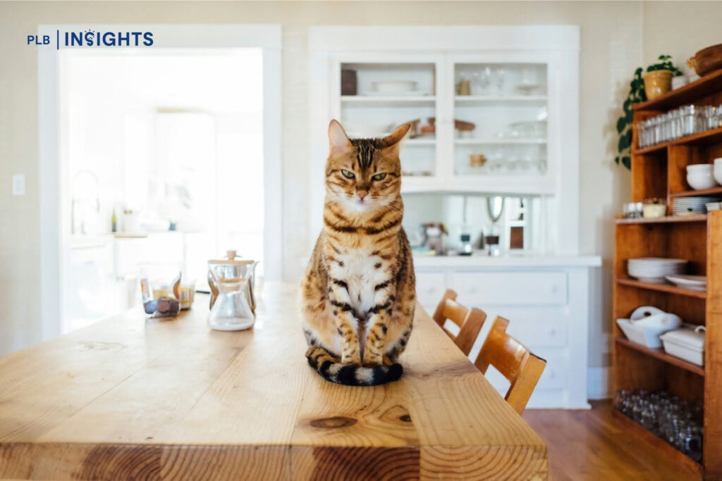 Navigating Pet Ownership Guidelines & Rules In Singapore’s Residential Properties